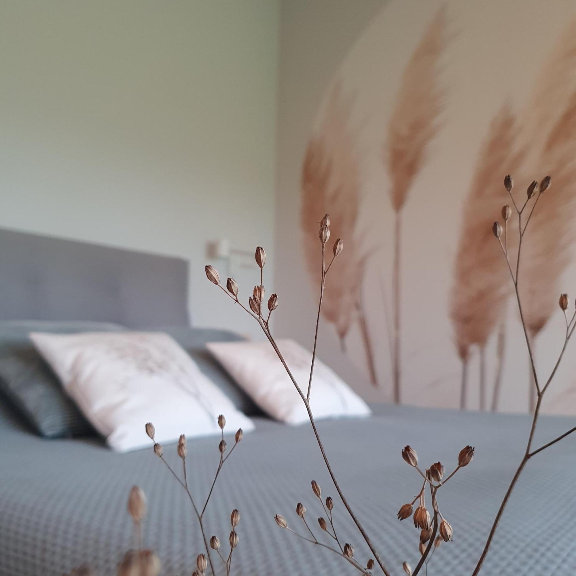 Bed and Breakfast Hippe Schuur Tytsjerk Экстерьер фото